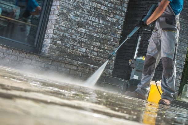 Best Driveway Pressure Washing  in Lealman, FL